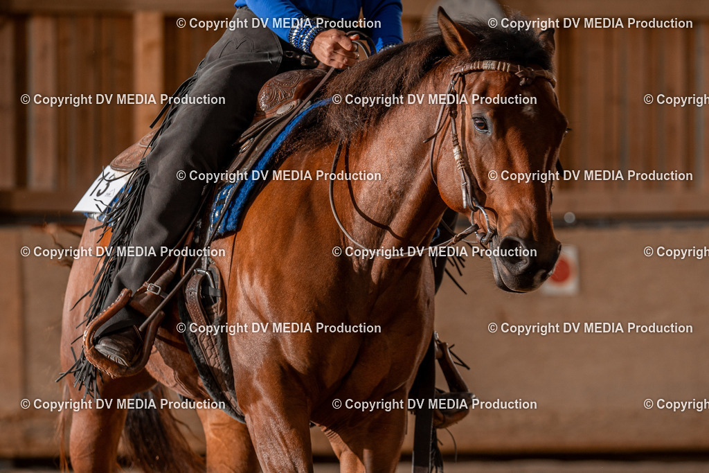 Balingen Tag 2-596 | dv-media-shop - Realisiert mit Pictrs.com