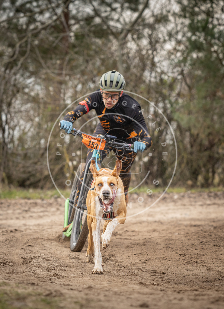 Pfotenfotografie_DV3A9060 | Hundefotografie, Tierfotograf, Pfotenfotografie, Fotoshooting Hund, Hunde Portrait, Hundesport, Hundeportraits, Heideshooting, Hunde, Sportfotograf, Hundefotograf, Turnierhundsport, THS,  - Realisiert mit Pictrs.com