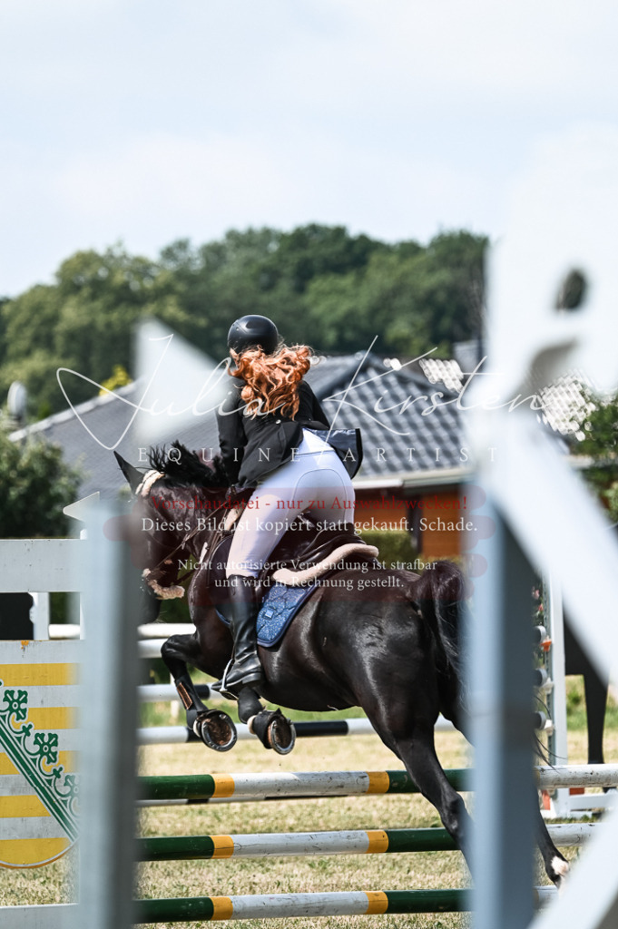 DSC_9133 | Pferde- und Turnierfotografie in Westsachsen. Pferdeportraits, Auftragszeichnungen und intuitive Kunst.