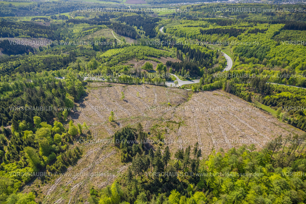 Meschede230500753 | Luftbild, Waldschäden, Serpentinenstraße Bundesstraße B55, Naturschutzgebiet Steinmecke, Meschede-Stadt, Meschede, Sauerland, Nordrhein-Westfalen, Deutschland