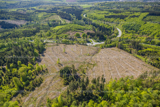 Meschede230500753 | Luftbild, Waldschäden, Serpentinenstraße Bundesstraße B55, Naturschutzgebiet Steinmecke, Meschede-Stadt, Meschede, Sauerland, Nordrhein-Westfalen, Deutschland