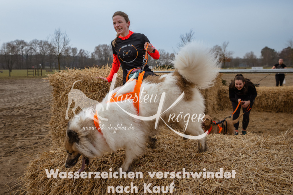 0821_ZZ92592 | kk-dogfotos