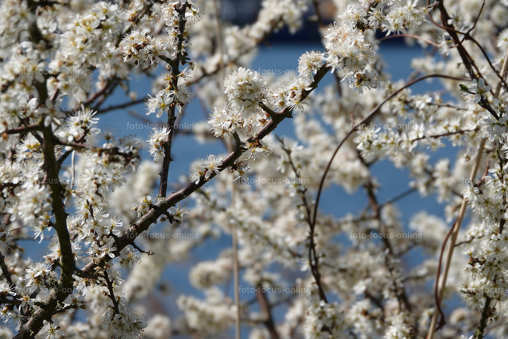 Springtime | Landscape photography, spectacular waves, Atlantic Ocean, Baltic Sea