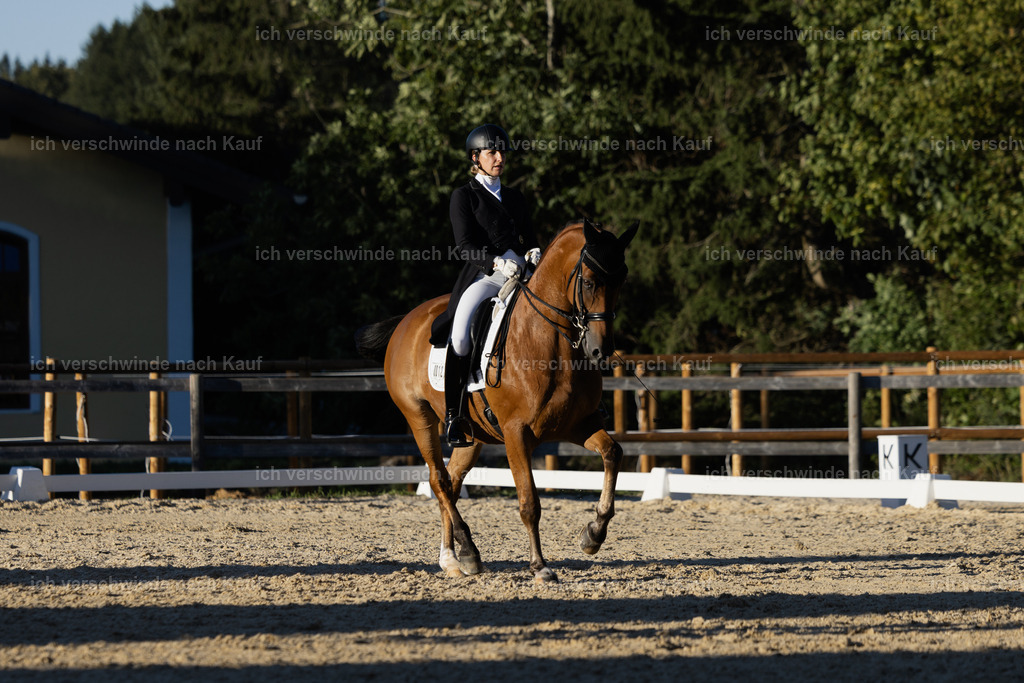 FHC2026_P09_12_19298 | Fichtenhof Classics 2026 – Grand Prix de Dressage - VOLTAIRE Design Preis, Reitanlage Fichtenhof, Sch ftlarn
