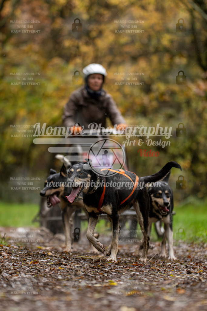 MompixPhotography_Bischwiller23_Kart-14 | PayLife