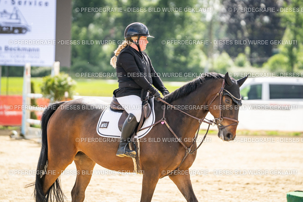 DSC05891 | Pferdegrafie