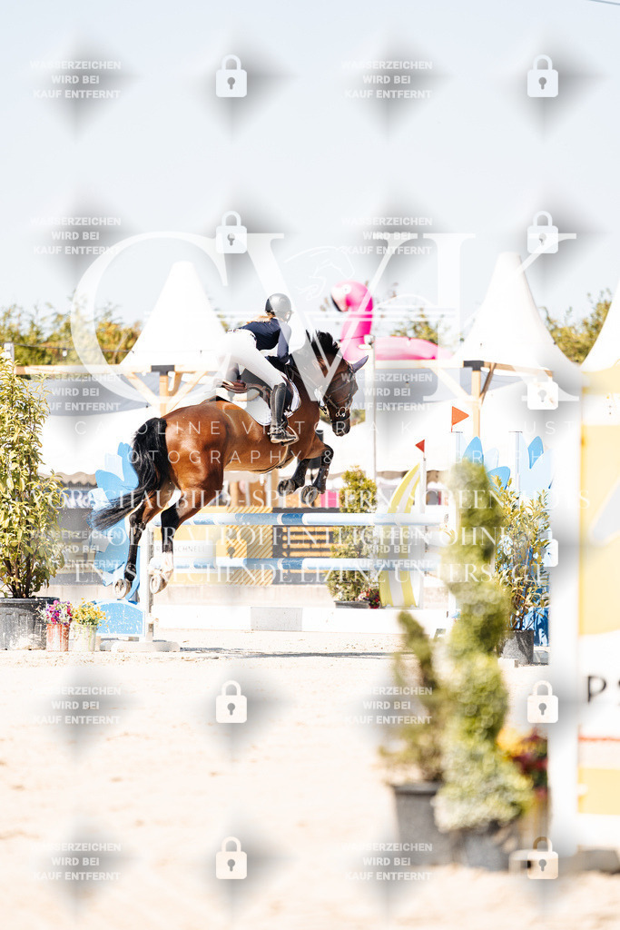 CK909566 | Turnierfotografie Pferdefotografie Trier Rheinland-Pfalz Pferdesport Reitsport Tierfotografie Sportfotografie Pferdevideo Pferdevideografie Equestrianvideography equestrianphotography  - Realisiert mit Pictrs.com