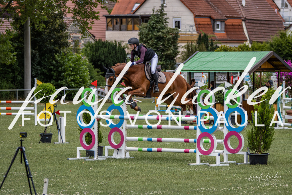 IMG_7055 | Erleben Sie dynamische Sport- und emotionale Tierfotografie in Süddeutschland mit Fotos von Paula. Spezialisiert auf Pferde- und Hundefotografie sowie Sportevents. Kontaktieren Sie mich für einzigartige und ausdrucksstarke Bilder Ihrer besonderen Momente. - Realisiert mit Pictrs.com