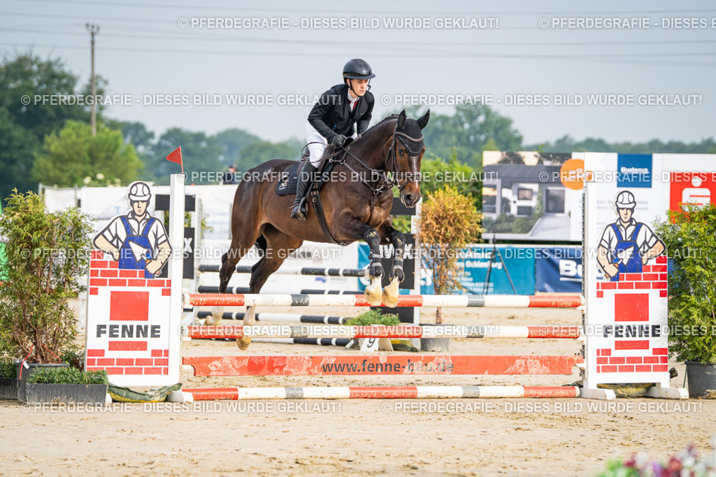 DSC08243 | Pferdegrafie