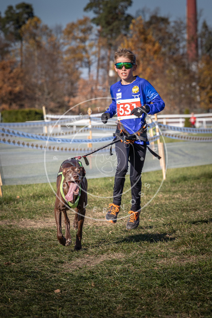 CaniXpix_0L8A7370 | Hundefotografie, Tierfotograf, Pfotenfotografie, Fotoshooting Hund, Hunde Portrait, Hundesport, Hundeportraits, Heideshooting, Hunde, Sportfotograf, Hundefotograf, Turnierhundsport, THS,  - Realisiert mit Pictrs.com