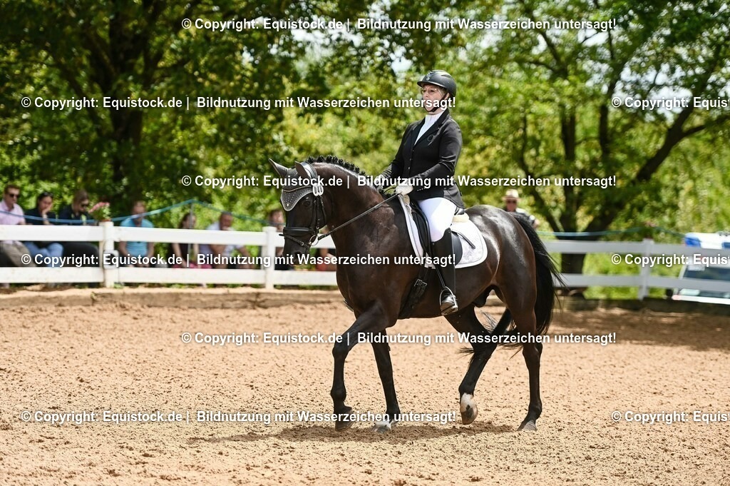 20230716_03_Dressurprfg. Kl.L - Tr._0179 | equistock