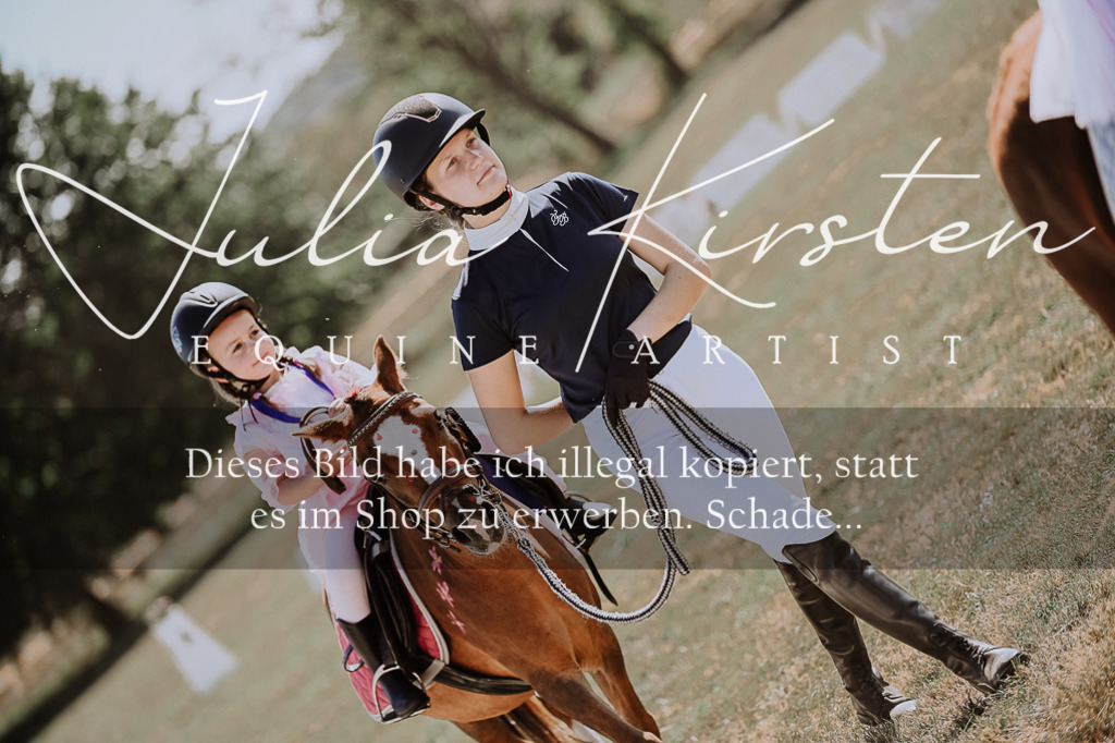 DSC_9083 | Pferde- und Turnierfotografie in Westsachsen. Pferdeportraits, Auftragszeichnungen und intuitive Kunst.