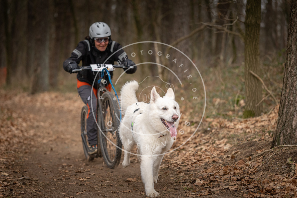 Pfotenfotografie_DV3A7252 | Hundefotografie, Tierfotograf, Pfotenfotografie, Fotoshooting Hund, Hunde Portrait, Hundesport, Hundeportraits, Heideshooting, Hunde, Sportfotograf, Hundefotograf, Turnierhundsport, THS,  - Realisiert mit Pictrs.com