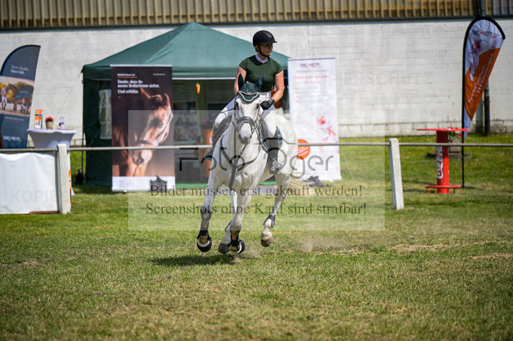 Reitturnier Voxtrup | Entdecke hochwertige Reitturnierfotos von Foto Oger. Professionell, emotional und authentisch – jetzt Lieblingsmomente im Shop bestellen.Deutschlandweite Turnierfotografie. - Realisiert mit Pictrs.com