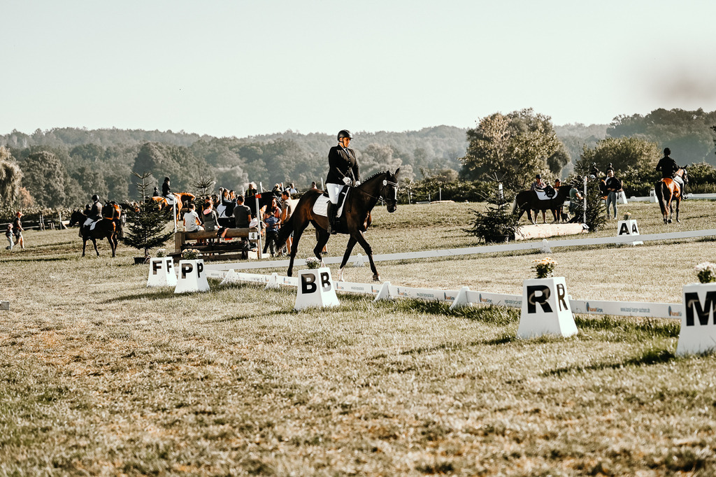 DSC_4666 | Pferde- und Turnierfotografie in Westsachsen. Pferdeportraits, Auftragszeichnungen und intuitive Kunst.