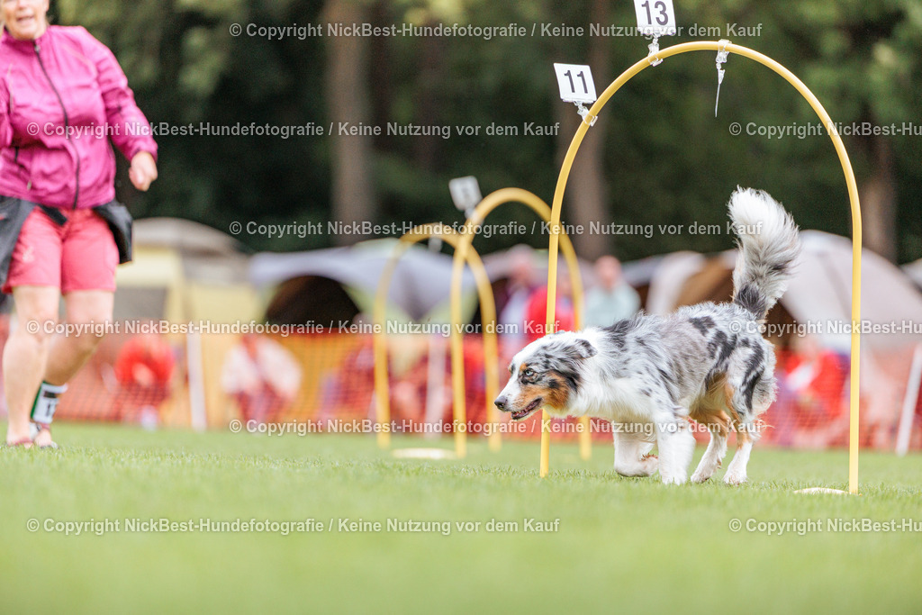 BSP Hoopers-H1 Tag2-2026-Nickbest-Hundefotografie-TuS Komet Arsten e.V.-2077 | Dein Hund! Dein Moment! Deine Erinnerungen! Hundefotografie in Bremen Blumenthal. Ich fange die besonderen Momente deines Vierbeiners ein – ob Indoor mit Blitzanlage oder in der freien Natur. Sicher dir dein Moment und dein Termin für eure Erinnerungen.