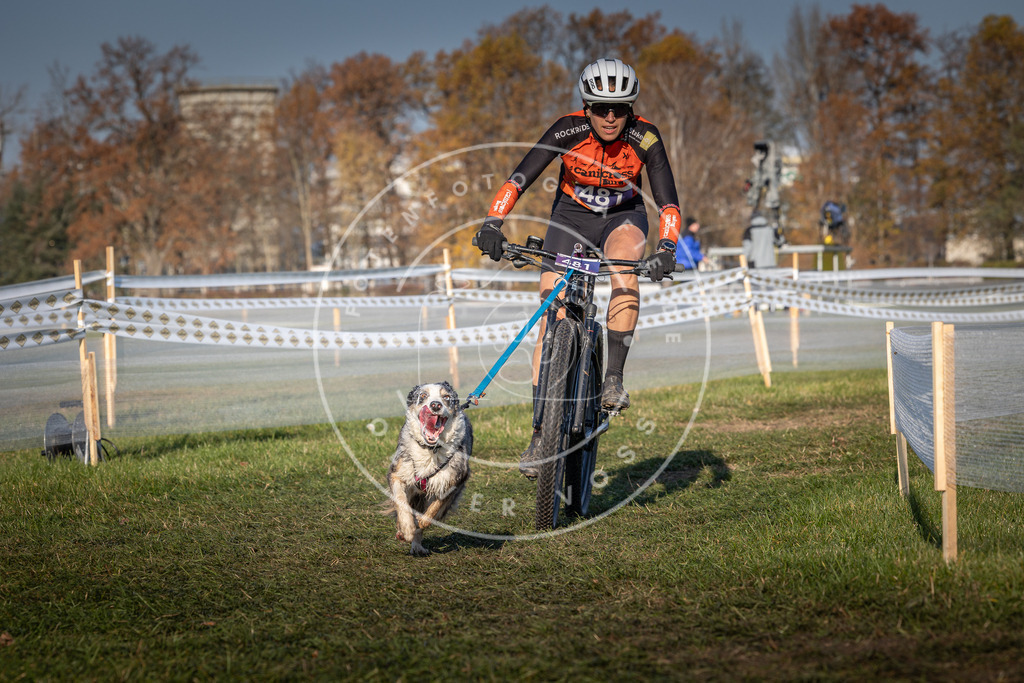 CaniXpix_0L8A4699 | Hundefotografie, Tierfotograf, Pfotenfotografie, Fotoshooting Hund, Hunde Portrait, Hundesport, Hundeportraits, Heideshooting, Hunde, Sportfotograf, Hundefotograf, Turnierhundsport, THS,  - Realisiert mit Pictrs.com