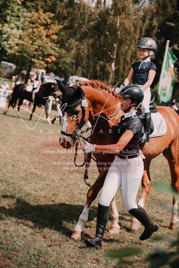 DSC_6216 | Pferde- und Turnierfotografie in Westsachsen. Pferdeportraits, Auftragszeichnungen und intuitive Kunst.
