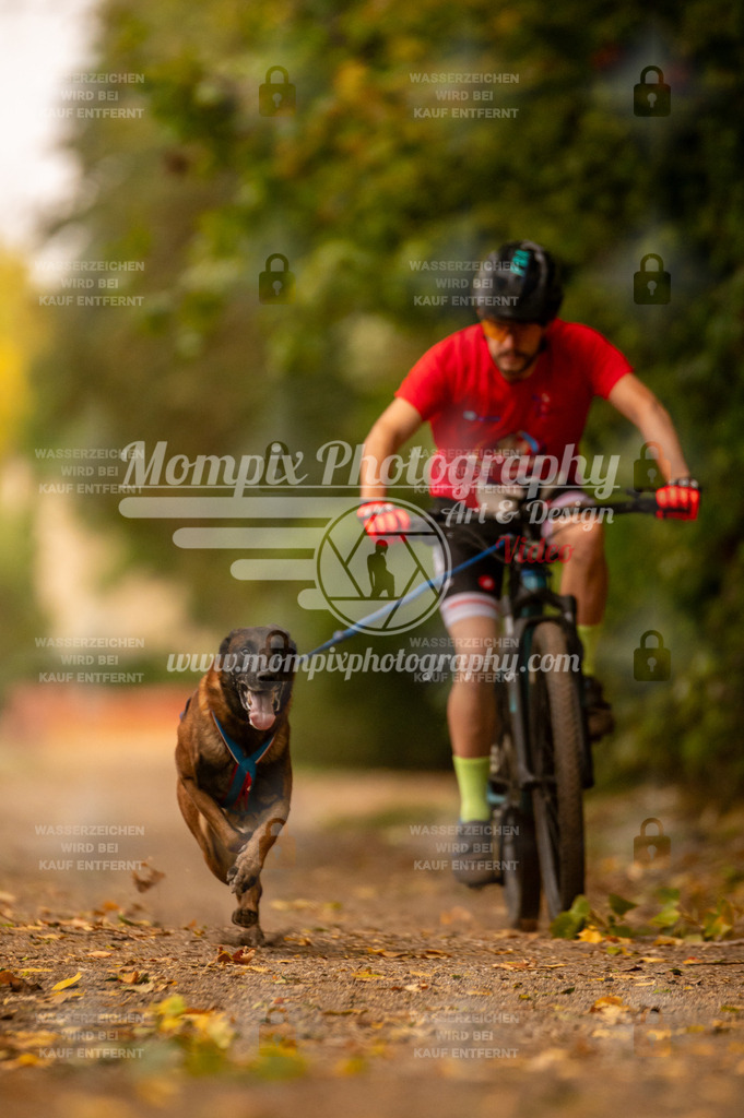 CDLBDB_14_10_2023_Samedi-99 | PayLife