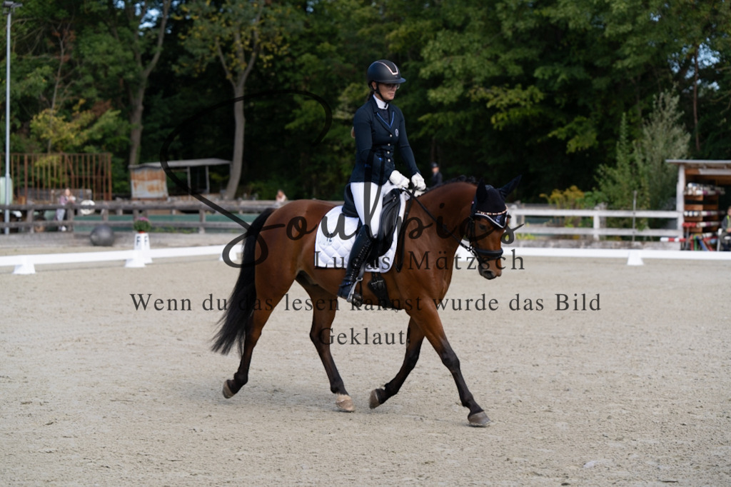 A7V06860 | Turnier/Reitfotograf
