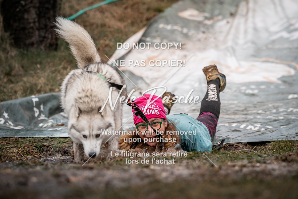 nelerasche_1330-1400_48 | nelerasche