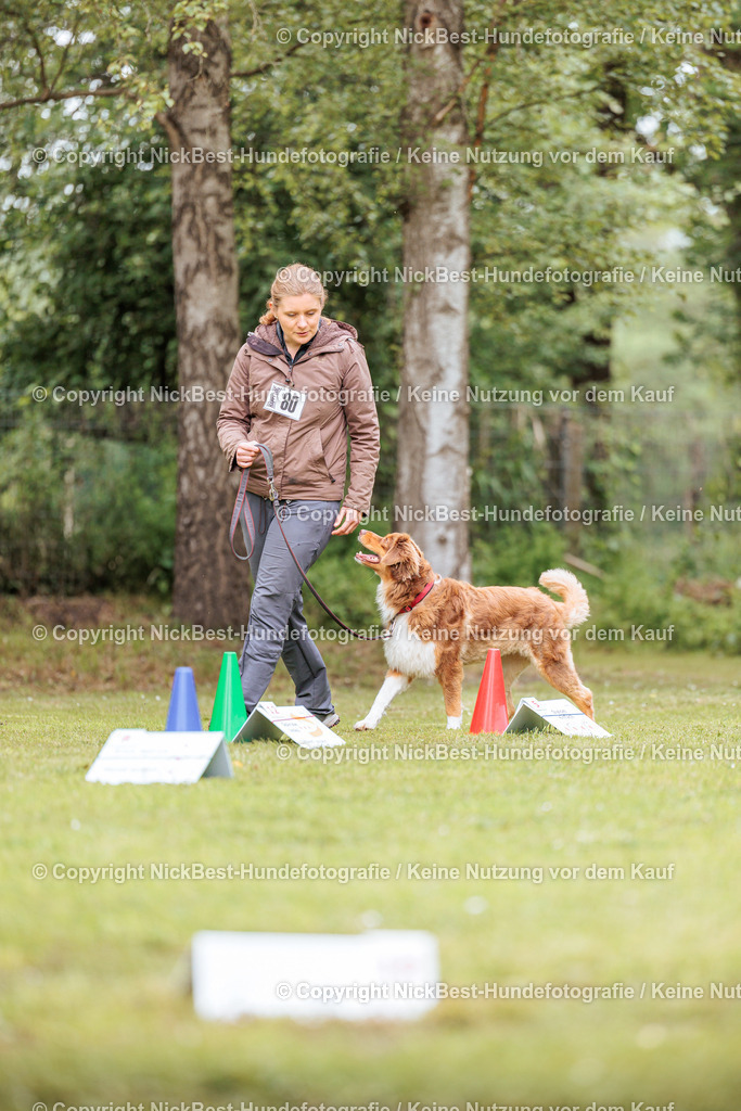 RO-Blumenthal-2026-Nickbest-Hundefotografie-3366 | Dein Hund! Dein Moment! Deine Erinnerungen! Hundefotografie in Bremen Blumenthal. Ich fange die besonderen Momente deines Vierbeiners ein – ob Indoor mit Blitzanlage oder in der freien Natur. Sicher dir dein Moment und dein Termin für eure Erinnerungen.