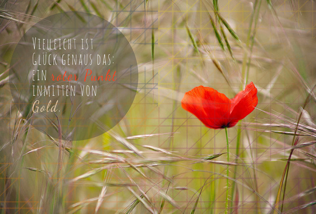 April_Mohn | Schöne Postkarten, Kalender und Fotogeschenke für verschiedene Anlässe online kaufen – Urlaubskarten, Geburtstagskarten, Karten, Polaroids und Geschenke zu Weihnachten, Ostern, Muttertag, Valentinstag oder zur Hochzeit - Realisiert mit Pictrs.com