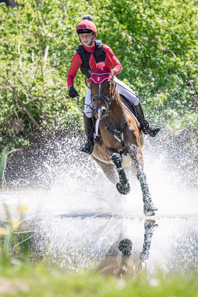 20260523-_3LI8882 | Tierfotografie Pferde, Hunde, Katzen, Haustiere.
Turnierfotografie Reitturniere, Reiten, Springreiten, Dressur in Hanau, dem Main-Kinzig-Kreis und dem Rhein-Main- Gebiet um Frankfurt