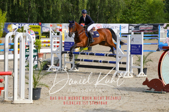 Gut Blee25_Amateuer Stilsprpfg Kl A_0108 | Turniersportfotografie; Pferdefotografie; Dressurfotografie