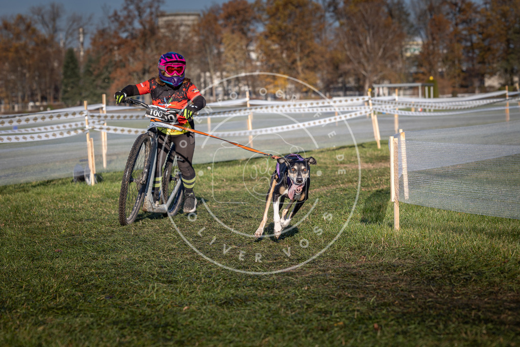 CaniXpix_0L8A4133 | Hundefotografie, Tierfotograf, Pfotenfotografie, Fotoshooting Hund, Hunde Portrait, Hundesport, Hundeportraits, Heideshooting, Hunde, Sportfotograf, Hundefotograf, Turnierhundsport, THS,  - Realisiert mit Pictrs.com