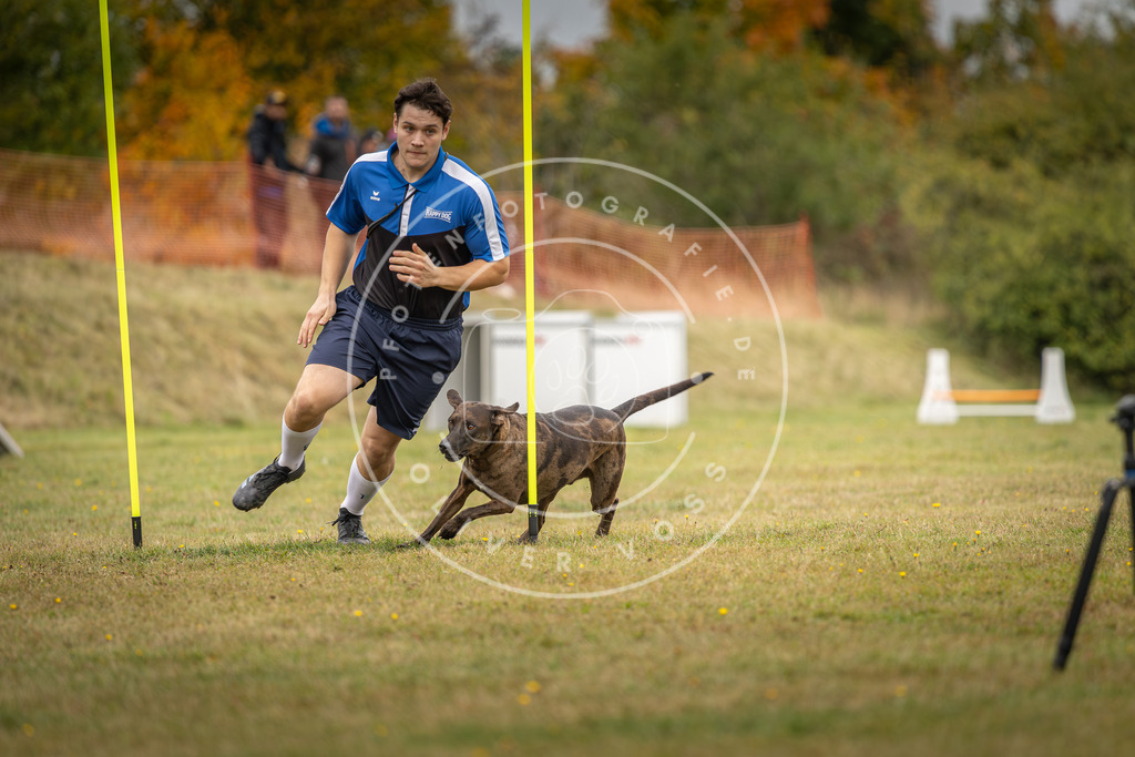 Pfotenfotografie_DV3A5606 | Hundefotografie, Tierfotograf, Pfotenfotografie, Fotoshooting Hund, Hunde Portrait, Hundesport, Hundeportraits, Heideshooting, Hunde, Sportfotograf, Hundefotograf, Turnierhundsport, THS,  - Realisiert mit Pictrs.com