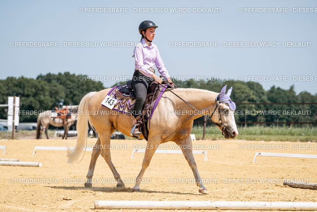 DSC01194 | Pferdegrafie