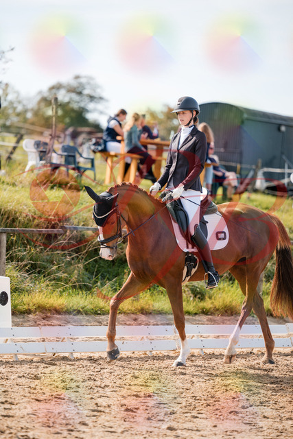 2026_10_03_Siefer-Hof_132819_Z63_88721128 | Professionelle Reitsport-, Turnier- und Eventfotografie von Robert Broda. Galerien mit ausgewählten und bearbeiteten Bildern direkt online ansehen und bestellen.