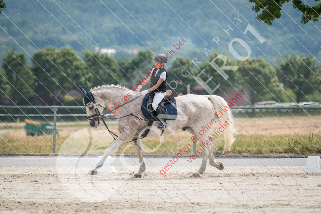 Z62_3573 | Sport-, Event- und Tierfotos in Profiqualität. Einfach auswählen, bestellen und herunterladen. Dein Moment – perfekt festgehalten.