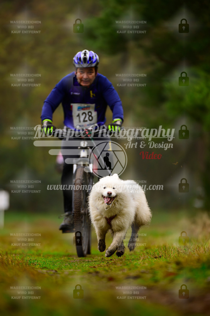 MompixPhotography_Bischwiller2025_Bike-87 | mompixphotography