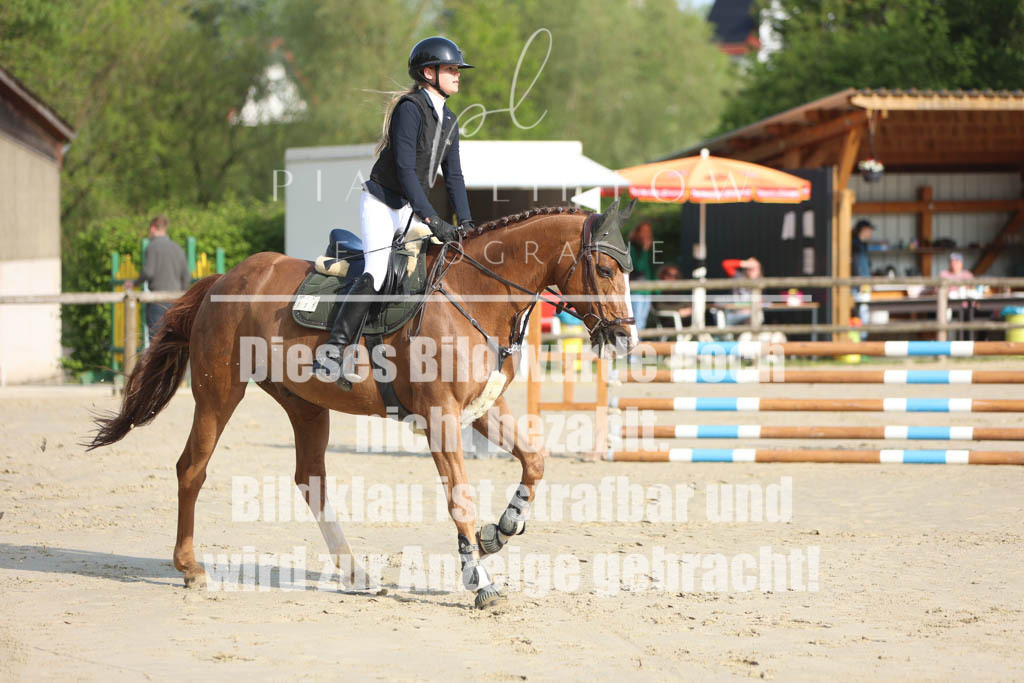 IMGM3545 | pl-fotografie