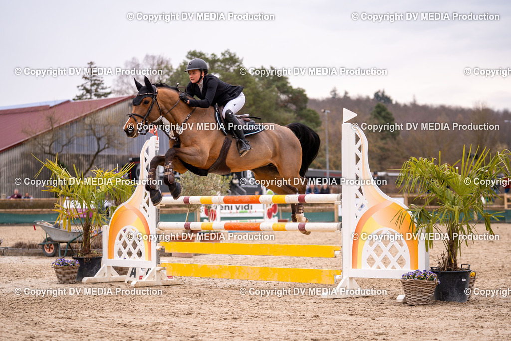 Kranichstein Tag 2-219 | dv-media-shop - Realisiert mit Pictrs.com