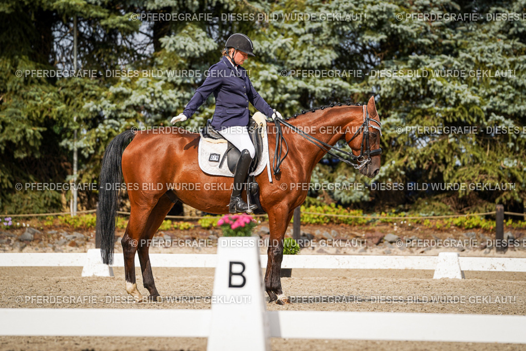 DSC07193 | Pferdegrafie