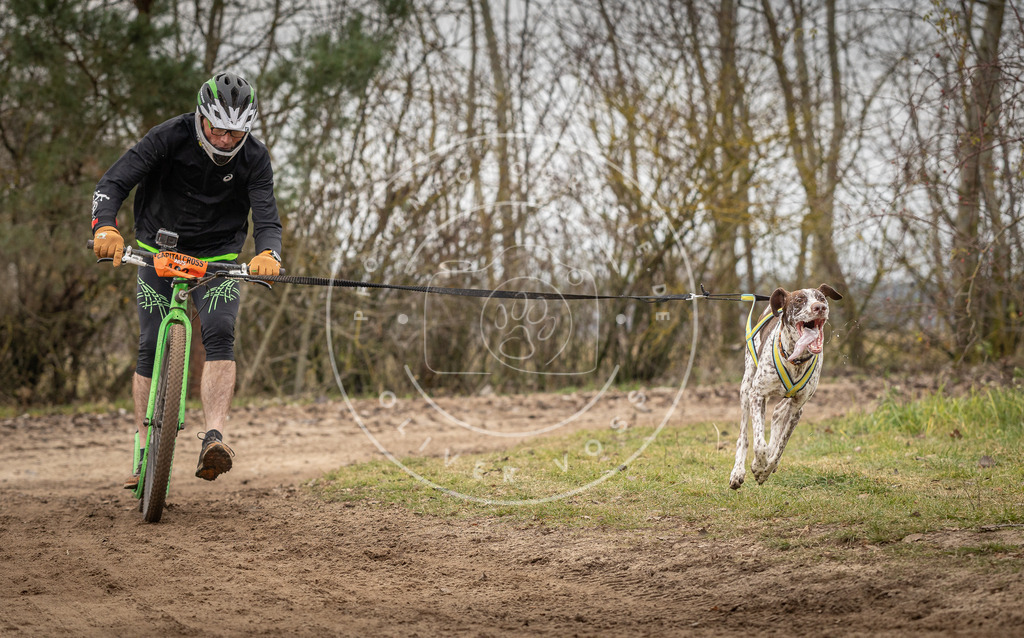 Pfotenfotografie_DV3A9714 | Hundefotografie, Tierfotograf, Pfotenfotografie, Fotoshooting Hund, Hunde Portrait, Hundesport, Hundeportraits, Heideshooting, Hunde, Sportfotograf, Hundefotograf, Turnierhundsport, THS,  - Realisiert mit Pictrs.com