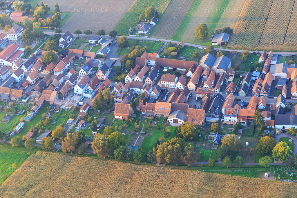 Luftbild: Raiffeisenstr in Freckenfeld im Bundesland Rheinland-Pfalz in Deutschland. Foto: IMG_074052.jpg vom 03.10.2014 durch Werner Riehm/FLY-FOTO.de