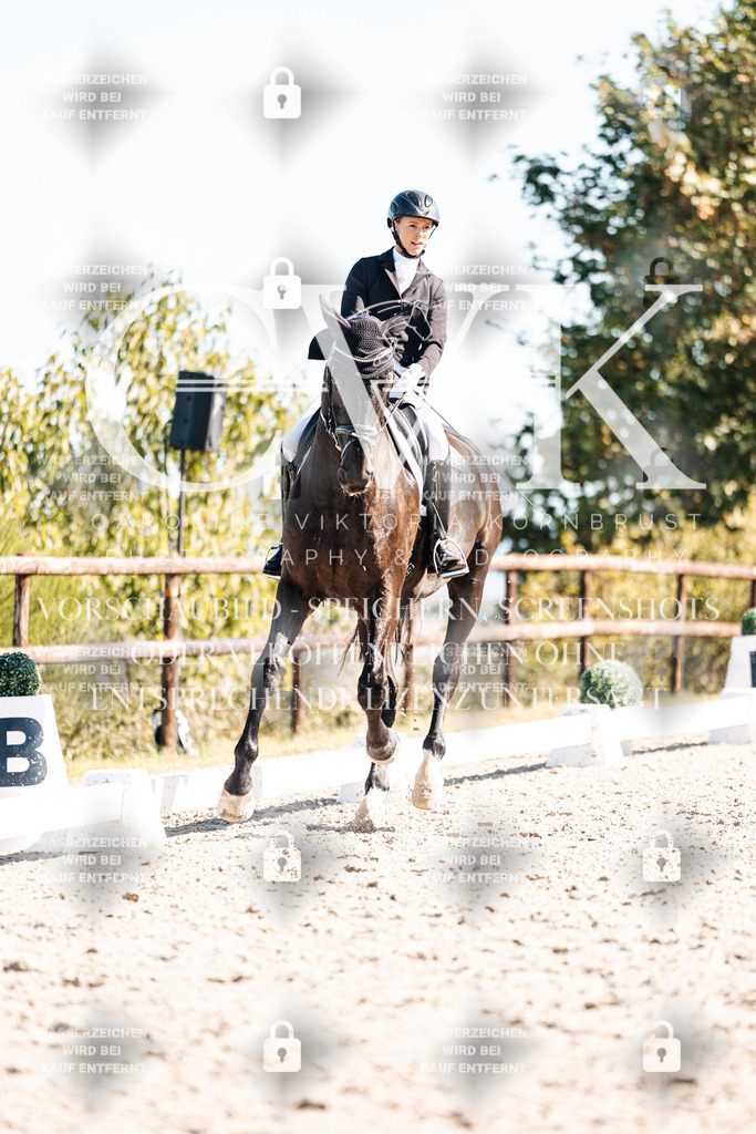 CK908899 | Turnierfotografie Pferdefotografie Trier Rheinland-Pfalz Pferdesport Reitsport Tierfotografie Sportfotografie Pferdevideo Pferdevideografie Equestrianvideography equestrianphotography  - Realisiert mit Pictrs.com