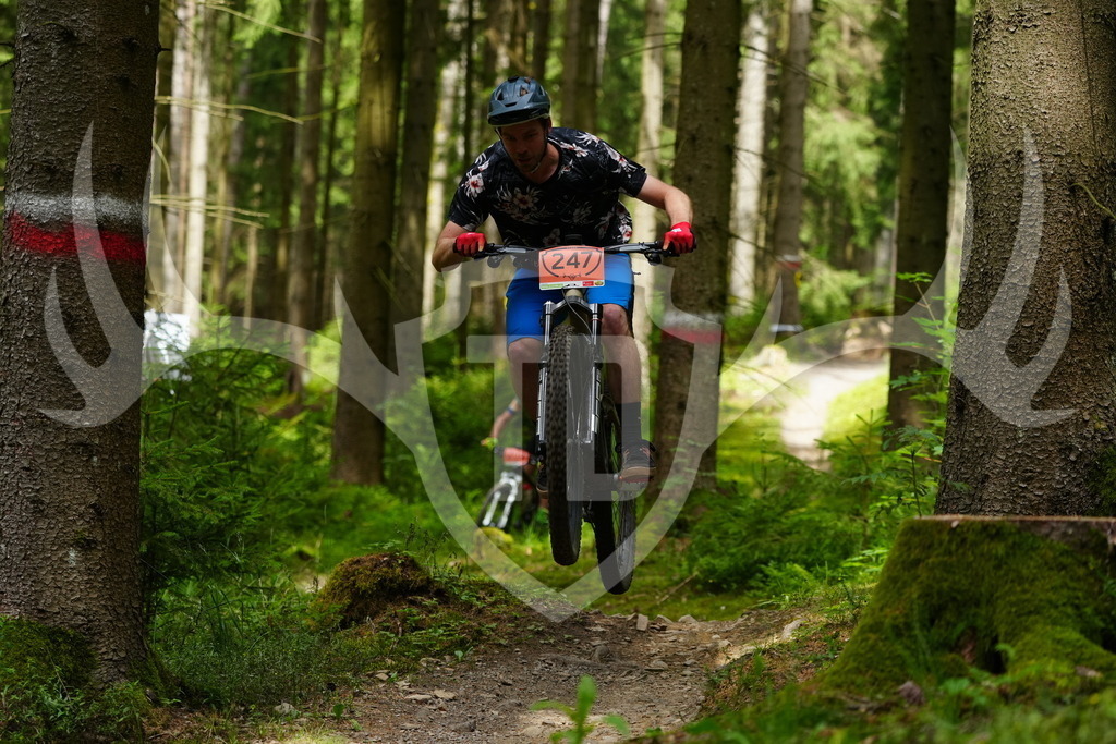 FC100484 | Fotogalerie der Treibjagd im Dunkelwald - Dein MTB Etappenrennen im Erzgebirge - Realisiert mit Pictrs.com
