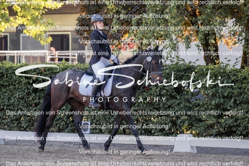 2025_05_31_DSCF2836 | People- und Tierfotografie, Imageaufnahmen, Veranstaltungsfotografie und Wandbilder aus der Natur ★ Made in Germany ✔️ Druck + Downloads ✔️ Naturfotografie in Top Qualität ★ schneller Versand, weltweite Lieferung! - Realisiert mit Pictrs.com