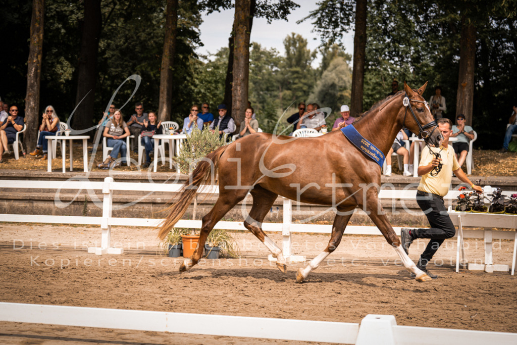 3.Fr00263 | Leoni Ertmer Photography - Realisiert mit Pictrs.com