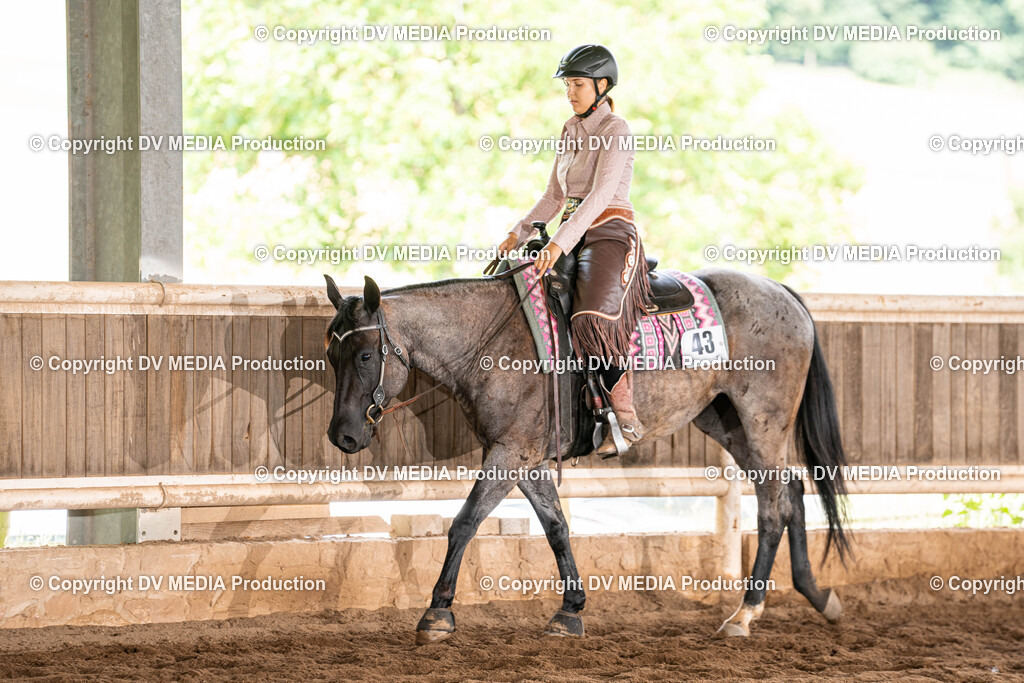 Erbach Tag 1-825 | dv-media-shop - Realisiert mit Pictrs.com