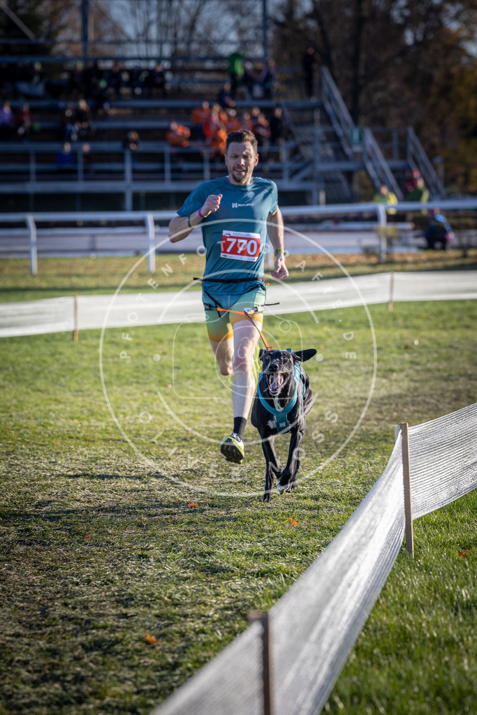 CaniXpix_DV3A2659 | Hundefotografie, Tierfotograf, Pfotenfotografie, Fotoshooting Hund, Hunde Portrait, Hundesport, Hundeportraits, Heideshooting, Hunde, Sportfotograf, Hundefotograf, Turnierhundsport, THS,  - Realisiert mit Pictrs.com