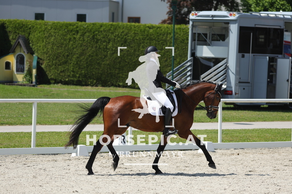 0P6A1209 | Willkommen bei Brunnmayr - Design & Fotografie – Ihrem Spezialisten für Reitturniere und Pferdeveranstaltungen in Oberösterreich, Salzburg und Bayern! Seit über 17 Jahren sind wir leidenschaftlich dabei.