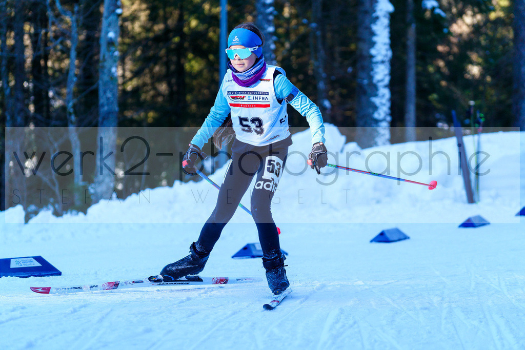 DSC Notschrei | 2. DSV E.INFRA Schülercup im Nordic-Center Notschrei am 17. bis 19. Januar 2025
