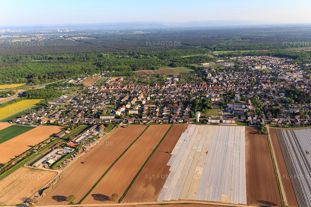 Luftbild: Ortsansicht von Norden in Kandel im Bundesland Rheinland-Pfalz in Deutschland. Foto: IMG_120461.jpg vom 23.04.2020 durch Werner Riehm/FLY-FOTO.de
