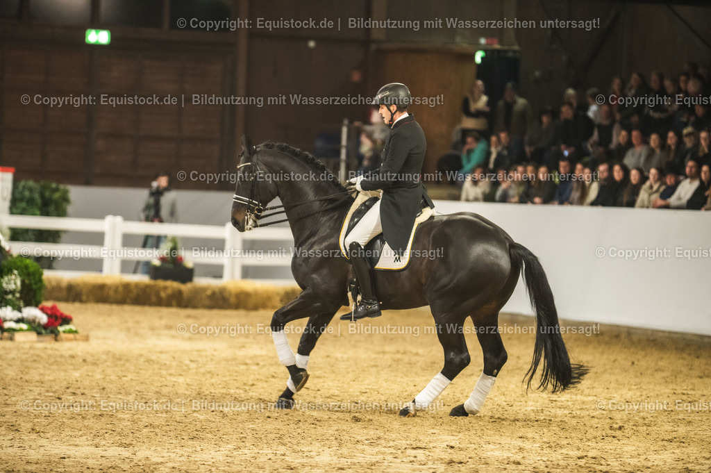 20240302_Hengstvorstellung_Marbach_TOMsPiC_1440 | equistock
